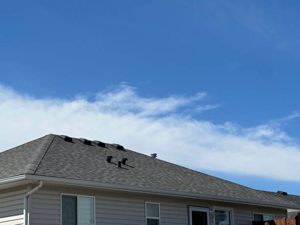 Best Asphalt Shingle Roofing  in Tuba City, AZ